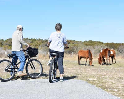 24-Hour Bike Rental Near Assateague Island