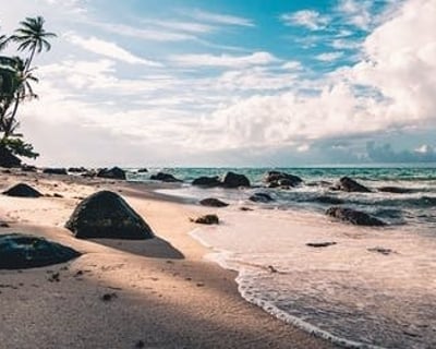 Guided E-Bike Tour to Big Talbot Island From Amelia