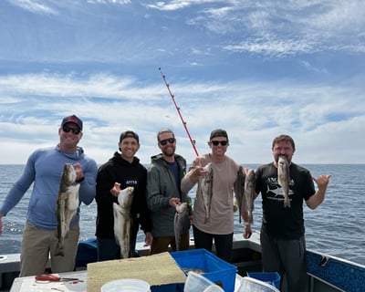 Haddock & Bottom Fishing Charter in Gloucester