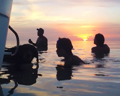 4-Hour Private Fishing Charter in Key West