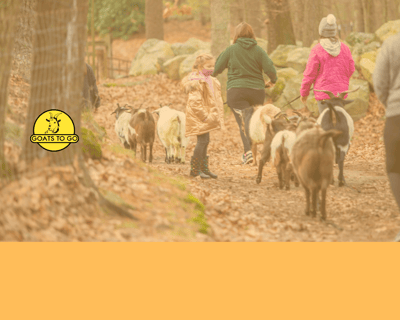 Georgetown Goat Hike