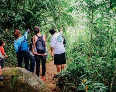 Choose Your Private Oahu Hiking Tour