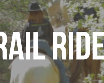 1-Hour Horseback Trail Ride in Corinth