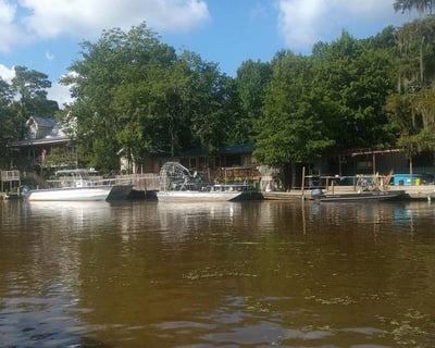 Explore Louisiana Swamps on a Large Airboat Tour