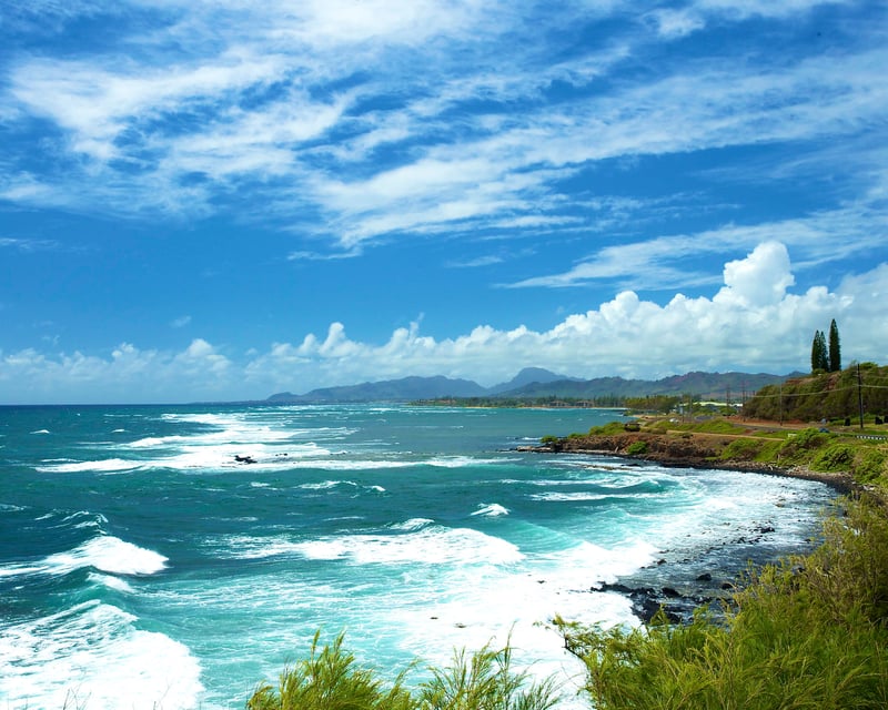 Kauai North & East Shore Tour with Fern Grotto Cruise