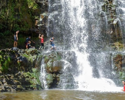 Guided Waterfall Swim and Hike in Lihue