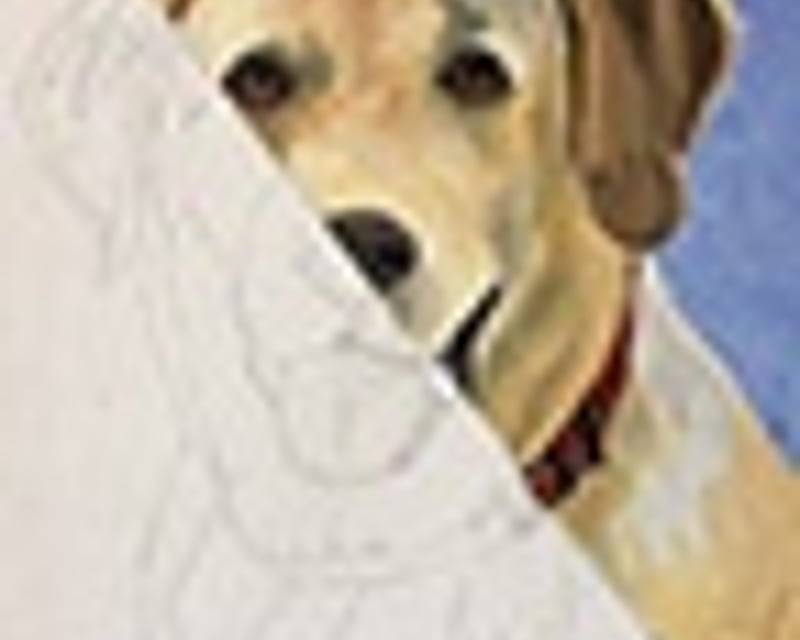 Paint Your Pet Portrait Class in Woodbury, MN