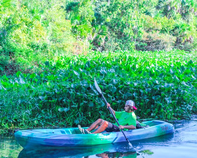 Self-Guided Kayak Rental at Wekiwa Springs