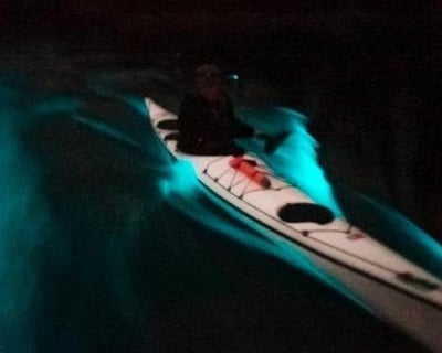 Paddle a Bioluminescence Kayak Tour on San Juan Island