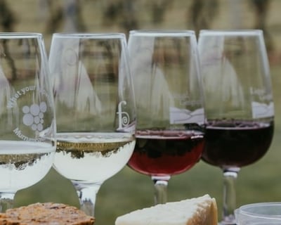 Cambridge Winery Bike Tour