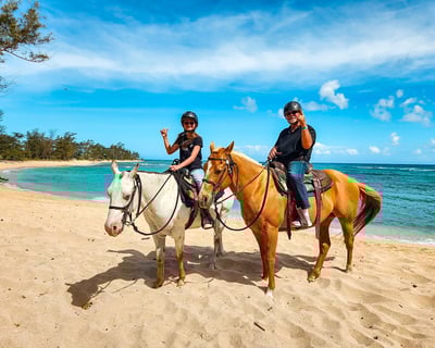 Oceanfront Sunshine Private Ride