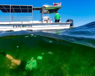 Crystal River Manatee Swim & Scallop Charter