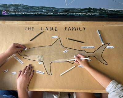 Shark Biology Class in Chatham