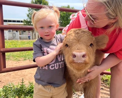 Scottish Highland Cow Experience with Gelato and Coffee