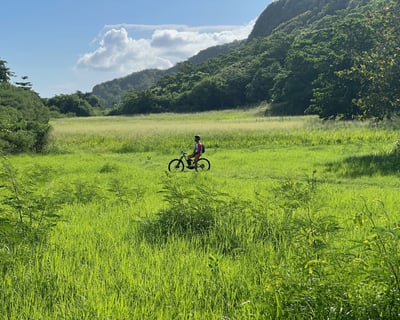 2-Hour E-Bike Tour in Isabela