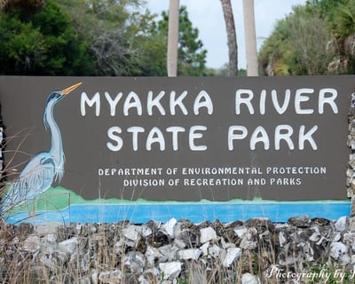 2-Hour Myakka River State Park Bike Rental