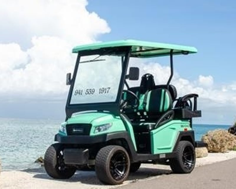 Street-Legal Electric Golf Cart Rental in Sarasota