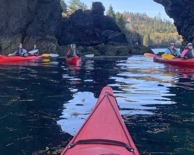 Kachemak Bay 5-Hour Guided Sea Kayaking Tour