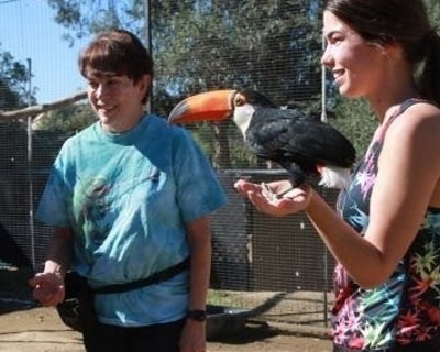 Escondido Exotic Bird Meet & Greet