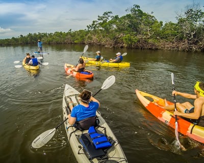 Marco Island Kayak & Paddleboard Rental (6 Days)