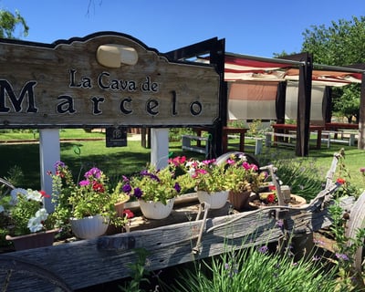 Ojos Negros Valley Cheese & Wine Tasting Tour