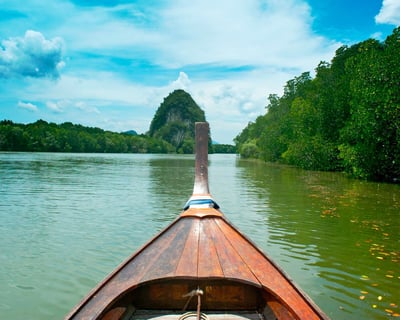 9-Hour Canoe Rental in Pinckney