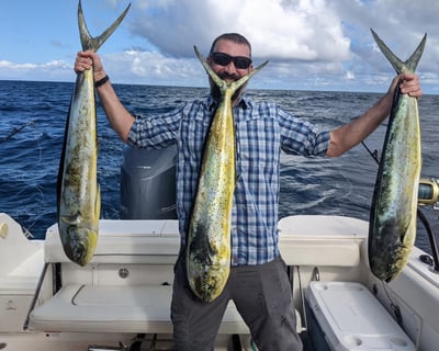 Deep Sea Big Game Fishing Charter in Hilo