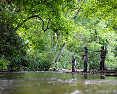 Guided Full-Day Wade Fly Fishing Trip in Rosman