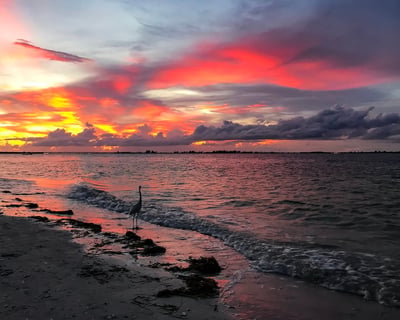Sunset Cruise in Fort Myers Beach