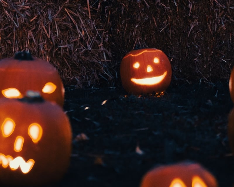 Haunted Corn Maze & Hayride in Logandale