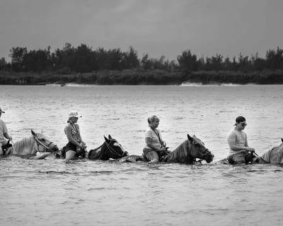 Ride a Swimming Horse in Palma Sola Bay