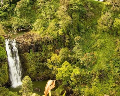 Explore Maui’s Road to Hana Small-Group Tour
