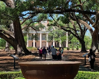 Explore Oak Alley Plantation & New Orleans History