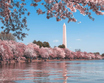 Explore Tidal Basin Memorials Guided Walking Tour