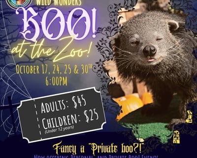 Bonsall Halloween Flashlight Zoo Tour