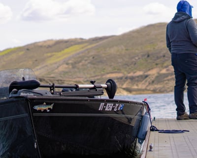 Local Lakes Half-Day Fly and Light Tackle Guided Tour