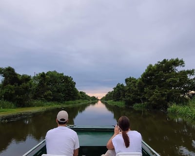 Tchefuncte River Small-Group Swamp Ecotour