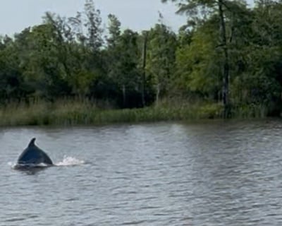 Pensacola Bay 2-Hour Cruise