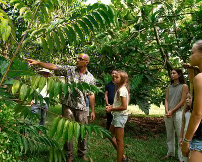 Farm to Table Dinner at Kauai Food Forest