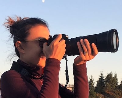 Full-Day Wildlife Photography Tour in Sitka