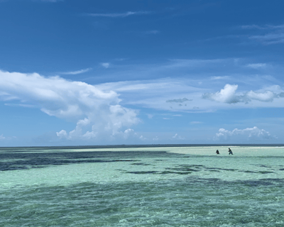 Key West Sandbar Private Charter