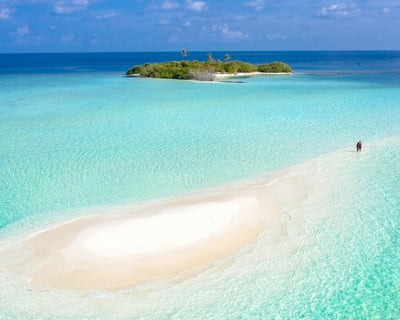 Key West 4-Hour Sandbar Charter