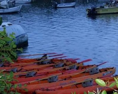 Full Moon Kayak Tour in Fajardo