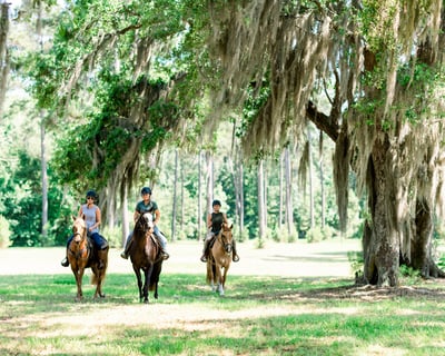 1.5-Hour Guided Horseback Ride in Palmetto Bluff