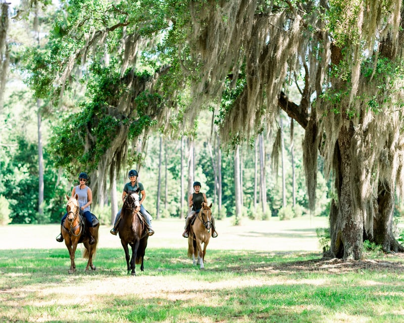 1.5-Hour Guided Horseback Ride in Palmetto Bluff