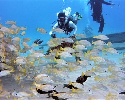 3-Hour Boat Scuba Dive in Honolulu