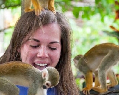 Punta Cana Monkeyland, Zipline & Buggy Tour