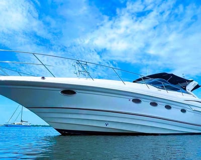 Yacht Charter Aboard a Regal 4160 in St. Petersburg