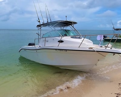 Key West Sandbar & Snorkel Charter