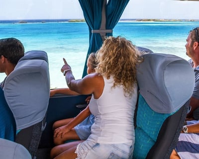 Aruba Half-Day Sightseeing Tour